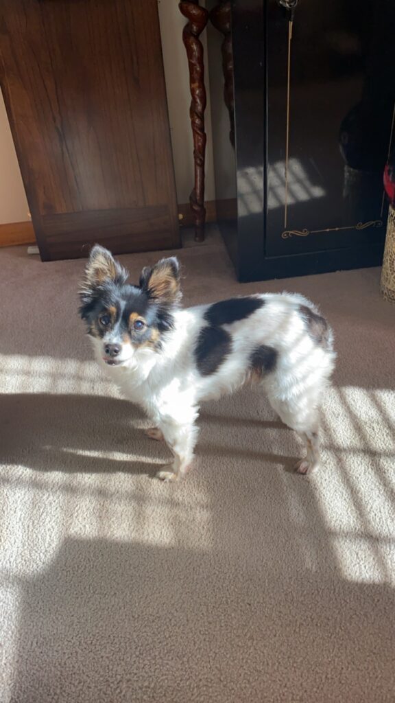 Milly