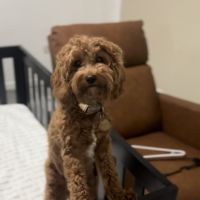 Nora